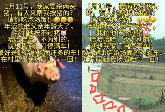 重庆女子喊来千人杀年猪，互联网亲戚火了？