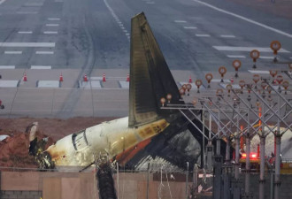 遭5万只鸟击 济州航空179死空难 75秒绝望对话曝光