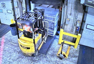 多伦多机场黄金大劫案新进展：43岁嫌犯从迪拜返加当场被捕
