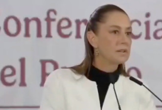 欣鲍姆与特朗普通话 排除美国军事打击墨西哥毒贩