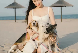 女明星转行当训狗师，还拿下世界冠军，霍思燕这波赢麻了，真高级