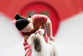 女明星转行当训狗师，还拿下世界冠军，霍思燕这波赢麻了，真高级