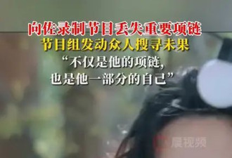 向佐录综艺丢失重要项链 节目组发动众人搜寻未果