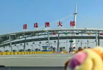 香港“粤车南下”落地逾两周，大陆车主为何访港？