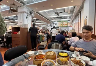 香港“粤车南下”落地逾两周，大陆车主为何访港？