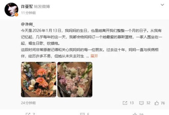 何晴儿子许何发文纪念母亲冥诞 许亚军随后转发动态