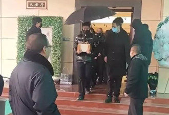 何晴儿子发声!支持老爸和后妈