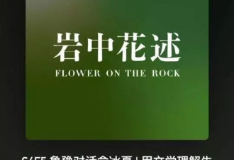 章泽天播客曝光刘嘉玲豪宅，姜研、霍思燕的家也不小
