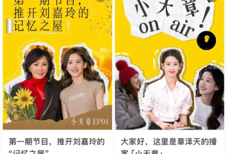 京东老板娘章泽天开播客采访刘嘉玲，为何遭到网友吐槽