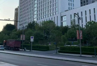 回国看病记 被中国效率“治愈”了
