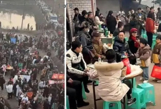 2026年中国第一个现象级流量主角：两头猪