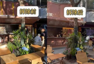商户花4000元在店门口装花坛椅，被告知“领导说丑让拆除”？