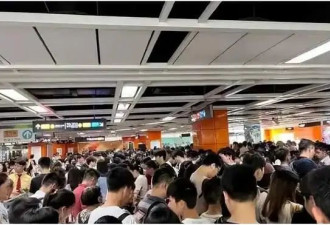 在新加坡坐了3个月地铁 秩序在这里比命都重要