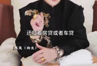 向太陈岚劝说80后父母：鸡娃不如鸡自己