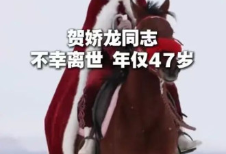 47岁贺娇龙去世，好友曝抢救细节：马突然受惊...