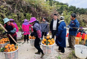 货车司机涌入水果直销：“一车果子赌一条出路”
