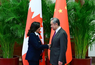 中共中央政治局委员、外交部长王毅会见加拿大外长阿南德