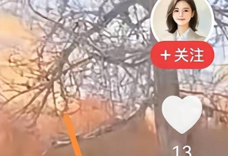 网红官员贺娇龙去世 坠马影像完整曝出 过程残忍
