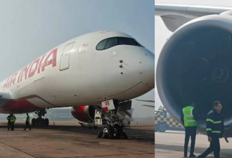 印航客机因伊朗领空关闭而返航 发动机吸入“异物”