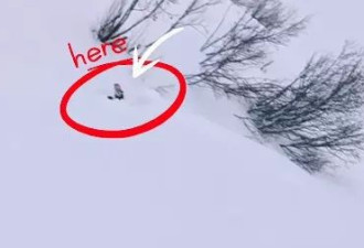 滑雪场“神秘手臂”竟是有人被活埋 救人视频热传