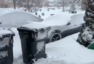 冬季风暴升级！多伦多降雪高达40厘米，GO火车撞上除雪车