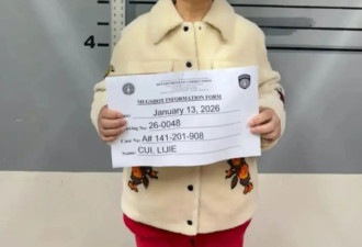 吴佩慈婆婆涉嫌违反美移民法被捕 目前关押在美惩教监狱