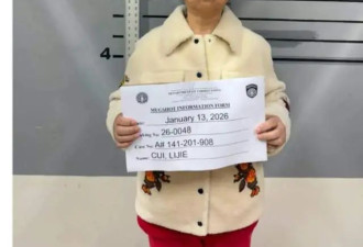 吴佩慈婆婆美国被抓，网友热议纪晓波不娶之恩
