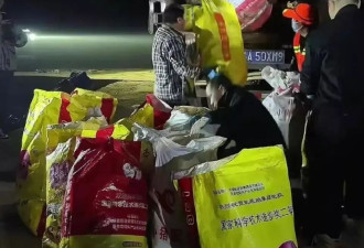 王富贵来晚了！300斤黑土猪成烫手山芋