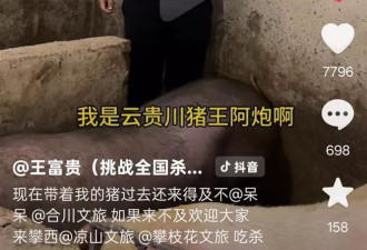 王富贵来晚了！300斤黑土猪成烫手山芋