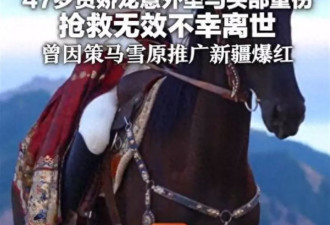 贺娇龙好友曝光意外与抢救细节：去年就劝她换马