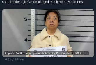 吴佩慈婆婆被捕，近期露面变化大