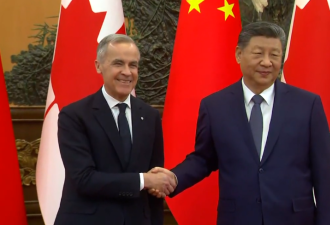 进口更多中国电动车会否成为加拿大汽车业的“自残之举”？