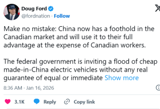 进口更多中国电动车会否成为加拿大汽车业的“自残之举”？