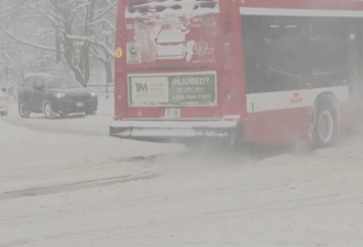 2026年多伦多大雪实拍：强劲冬季风暴袭击多伦多及GTA