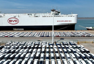 2025年加拿大电动汽车销量断崖式下跌，中国车型能否重振市场