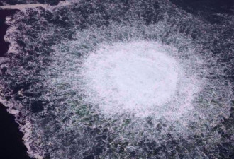 德最高法院裁决首公开 北溪管道案“真凶”曝光