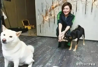 63岁关之琳近况曝光！住1.5亿半山风水豪宅，独居生活中隐藏温情