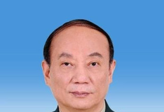 军队高层遭大清洗 中共军委副主席发声