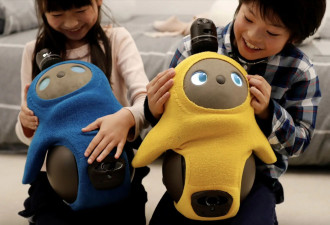 售价6万的陪伴机器人，情绪价值为何如此昂贵？