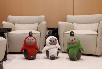 售价6万的陪伴机器人，情绪价值为何如此昂贵？