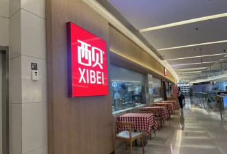 实探西贝：贾国龙赌上一切 员工：我们只能服从