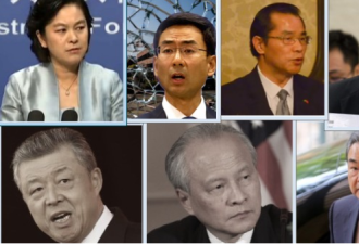 “战狼外交”新纪元到来