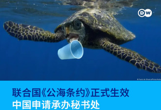 联合国《公海条约》正式生效 中国申请承办秘书处