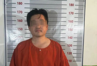 陈志后，柬埔寨又一华裔电诈头目落网