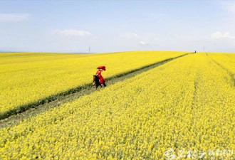 送别贺娇龙：殡仪馆前排起长队 有人借车连夜赶来