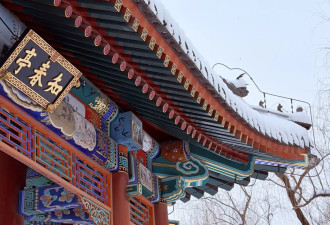 北京下起2026年第一场雪，颐和园美成了国画