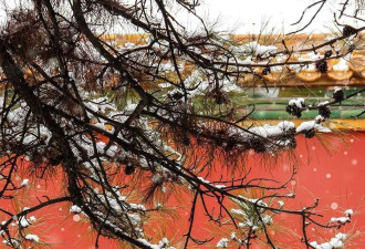瑞雪至，故宫雪景“大片”又上新了....