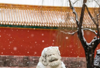 瑞雪至，故宫雪景“大片”又上新了....