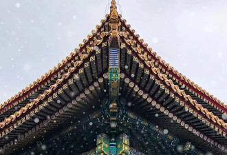 瑞雪至，故宫雪景“大片”又上新了....
