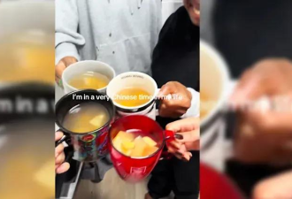 “精神中国人”，TikTok老外集体魔怔了？